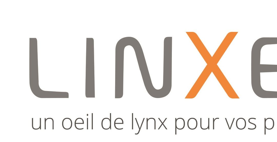 Découvrez notre avis sur Linxea, le spécialiste de l’épargne en ligne